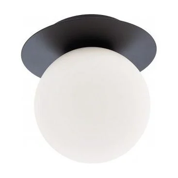 Aplica/Plafoniera cu glob HAIKU finisaj negru 1X28W E14 01-3129 Smarter